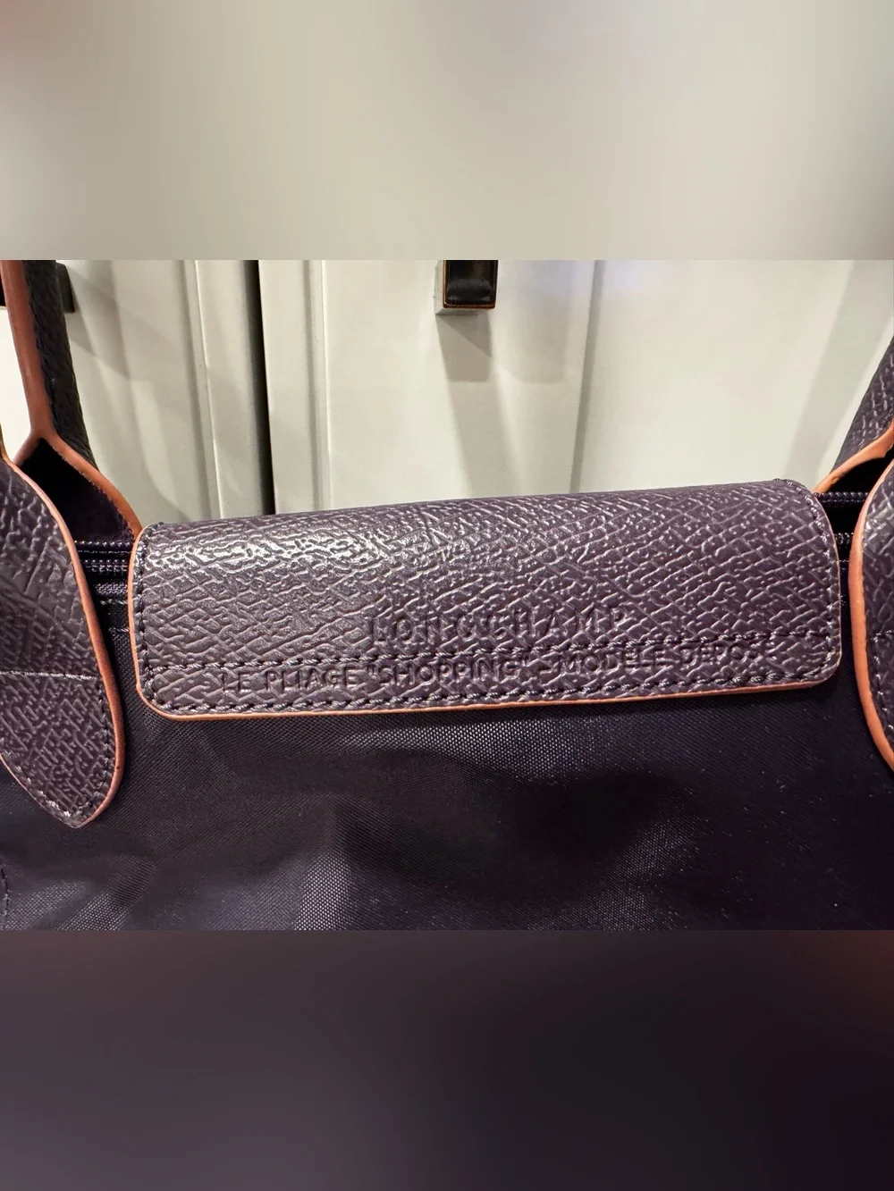 Longchamp Tote Bag LONGCHAMP Le Pliage Bilberry Purple EUC